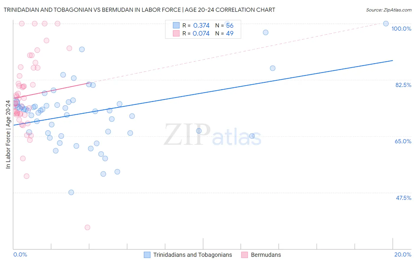 Trinidadian and Tobagonian vs Bermudan In Labor Force | Age 20-24