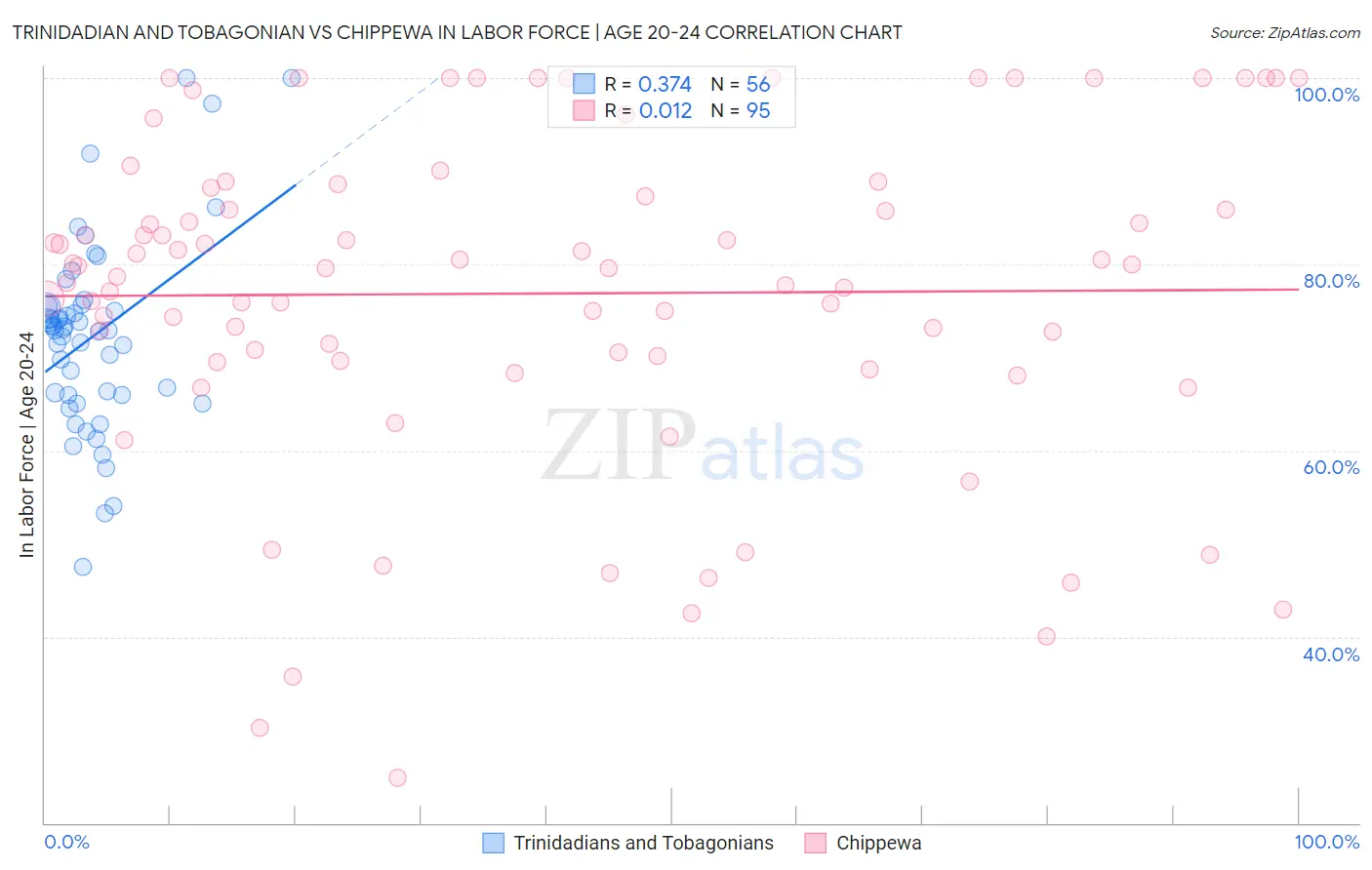 Trinidadian and Tobagonian vs Chippewa In Labor Force | Age 20-24
