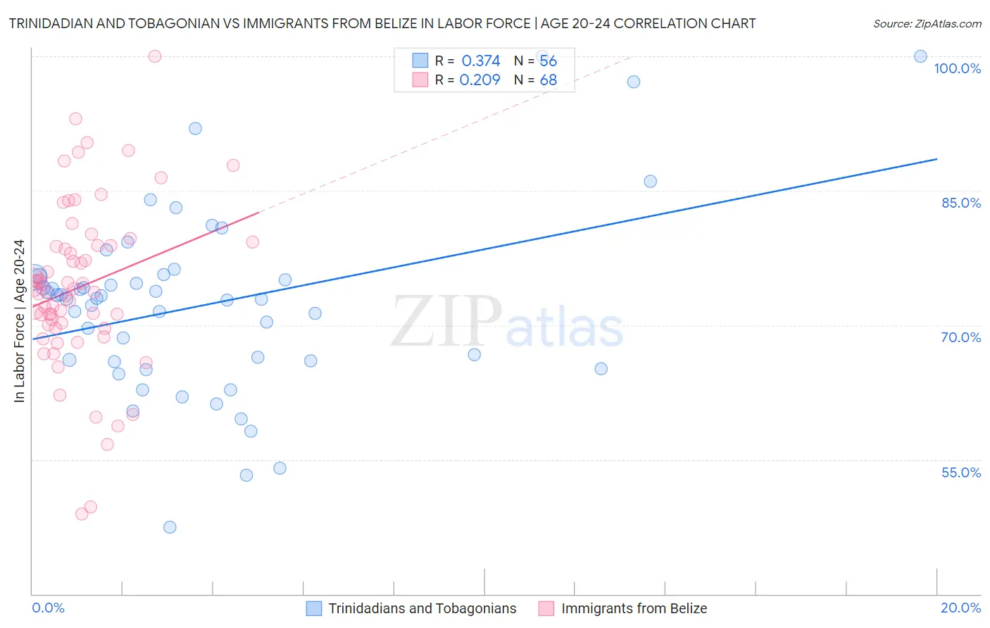 Trinidadian and Tobagonian vs Immigrants from Belize In Labor Force | Age 20-24