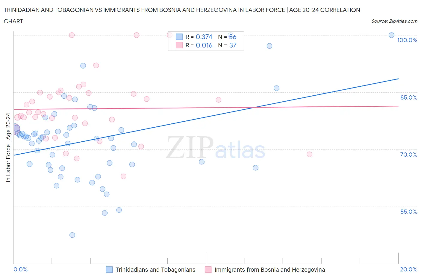 Trinidadian and Tobagonian vs Immigrants from Bosnia and Herzegovina In Labor Force | Age 20-24