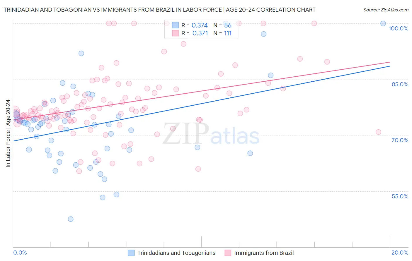 Trinidadian and Tobagonian vs Immigrants from Brazil In Labor Force | Age 20-24