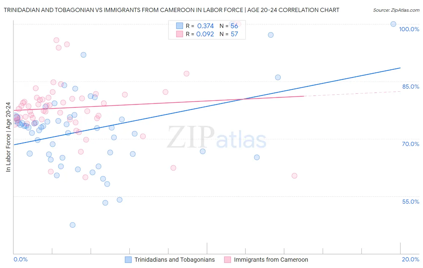 Trinidadian and Tobagonian vs Immigrants from Cameroon In Labor Force | Age 20-24