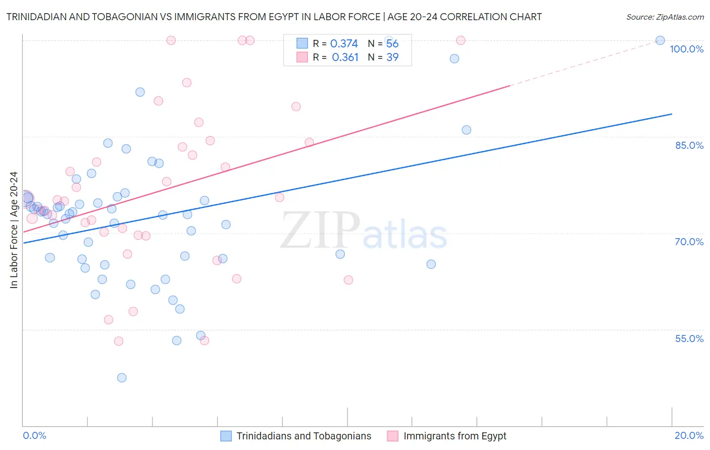 Trinidadian and Tobagonian vs Immigrants from Egypt In Labor Force | Age 20-24