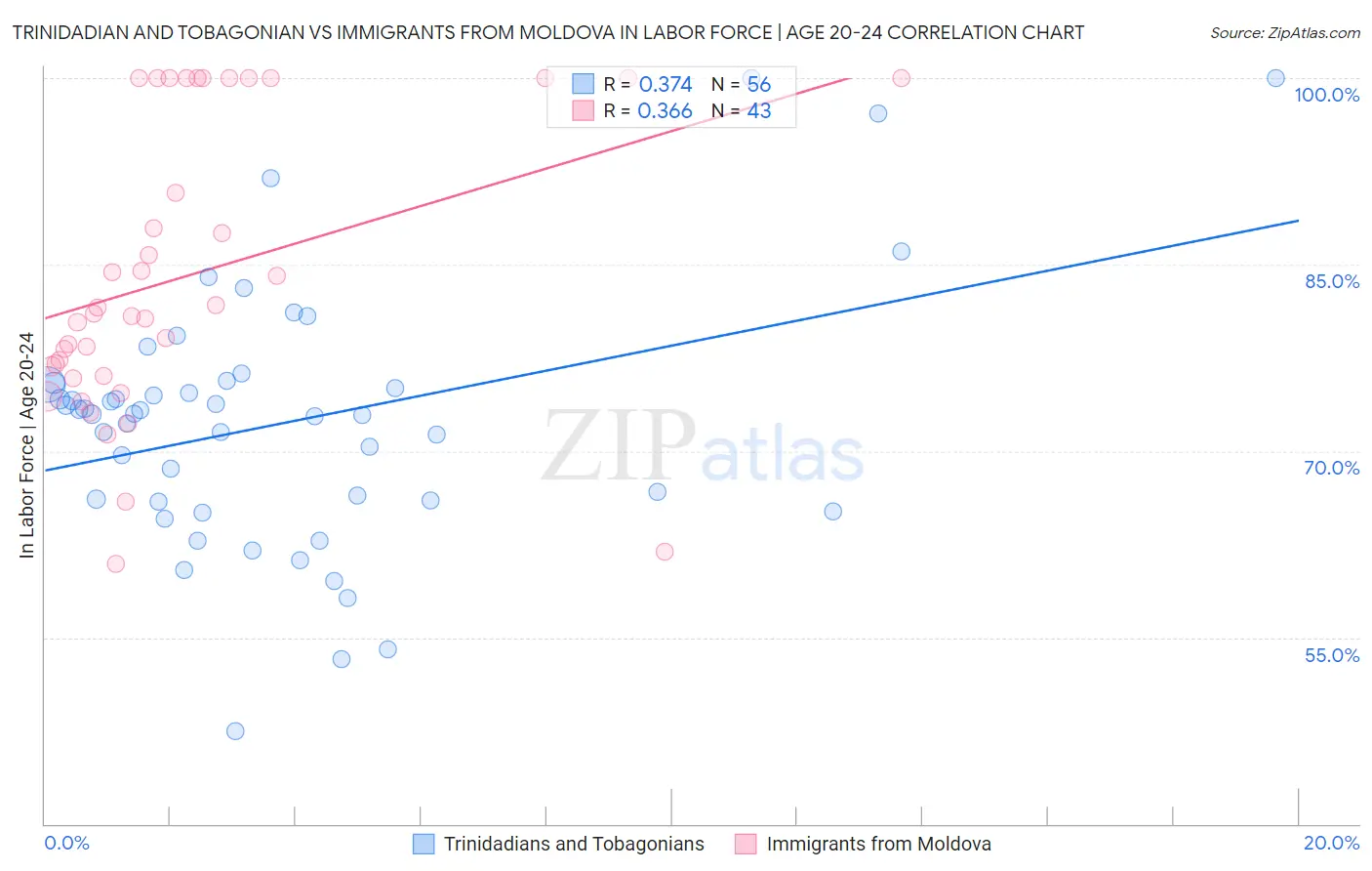 Trinidadian and Tobagonian vs Immigrants from Moldova In Labor Force | Age 20-24