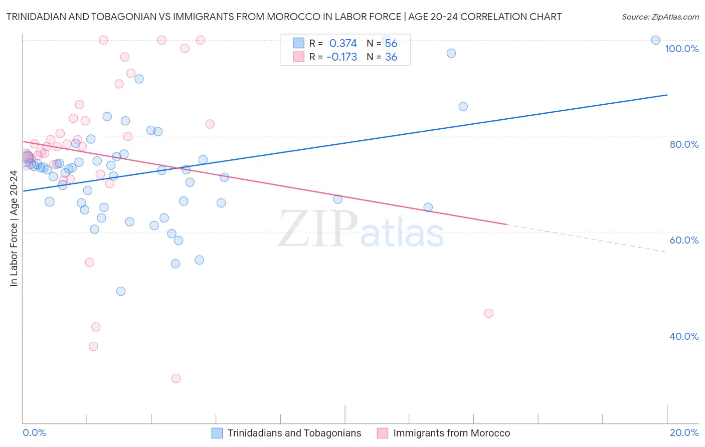 Trinidadian and Tobagonian vs Immigrants from Morocco In Labor Force | Age 20-24