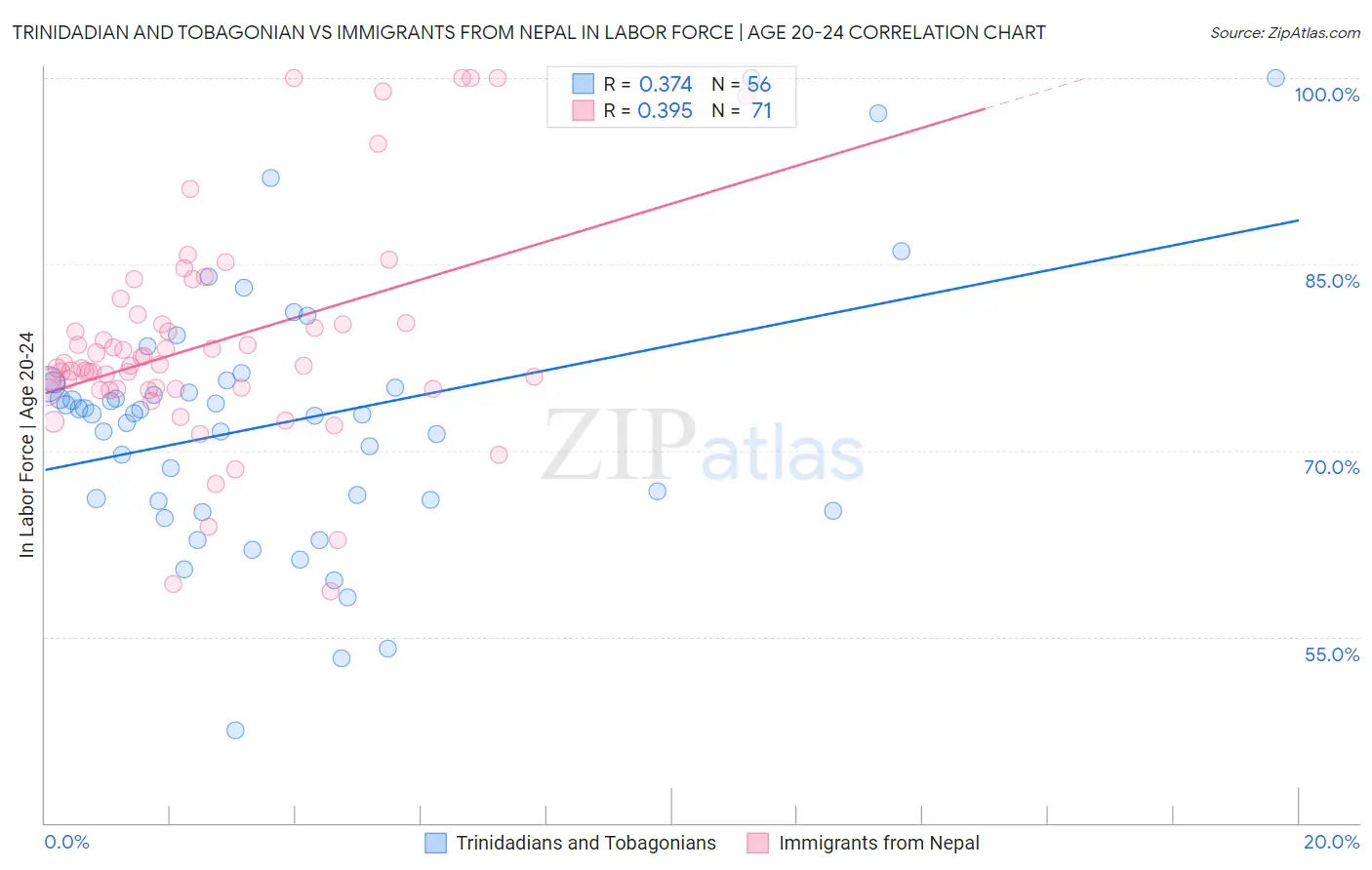 Trinidadian and Tobagonian vs Immigrants from Nepal In Labor Force | Age 20-24
