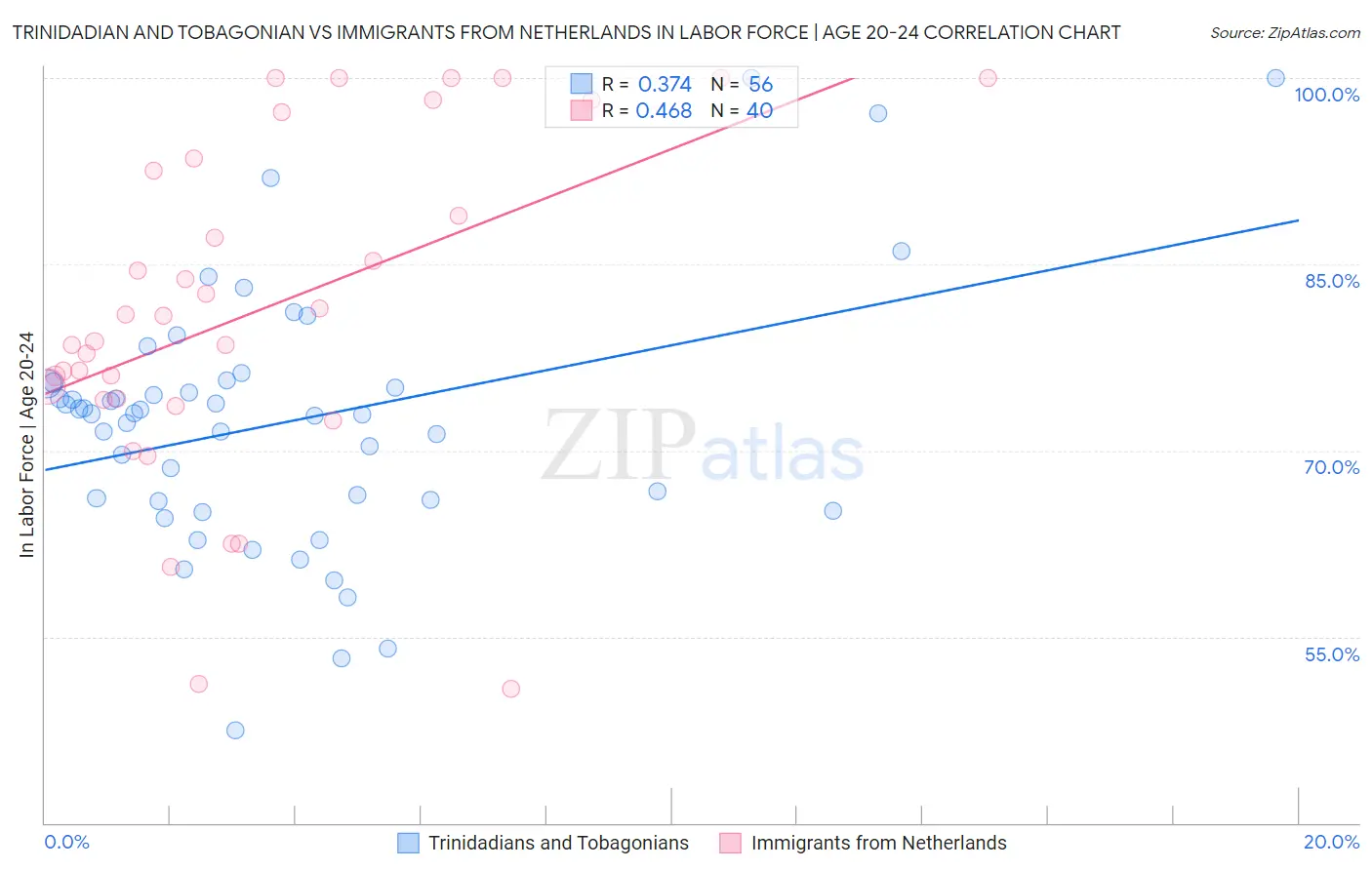 Trinidadian and Tobagonian vs Immigrants from Netherlands In Labor Force | Age 20-24