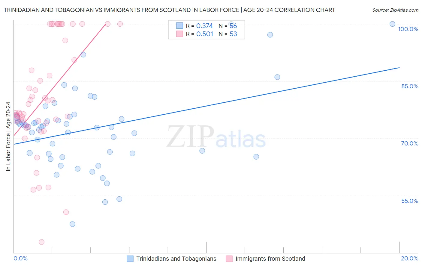 Trinidadian and Tobagonian vs Immigrants from Scotland In Labor Force | Age 20-24