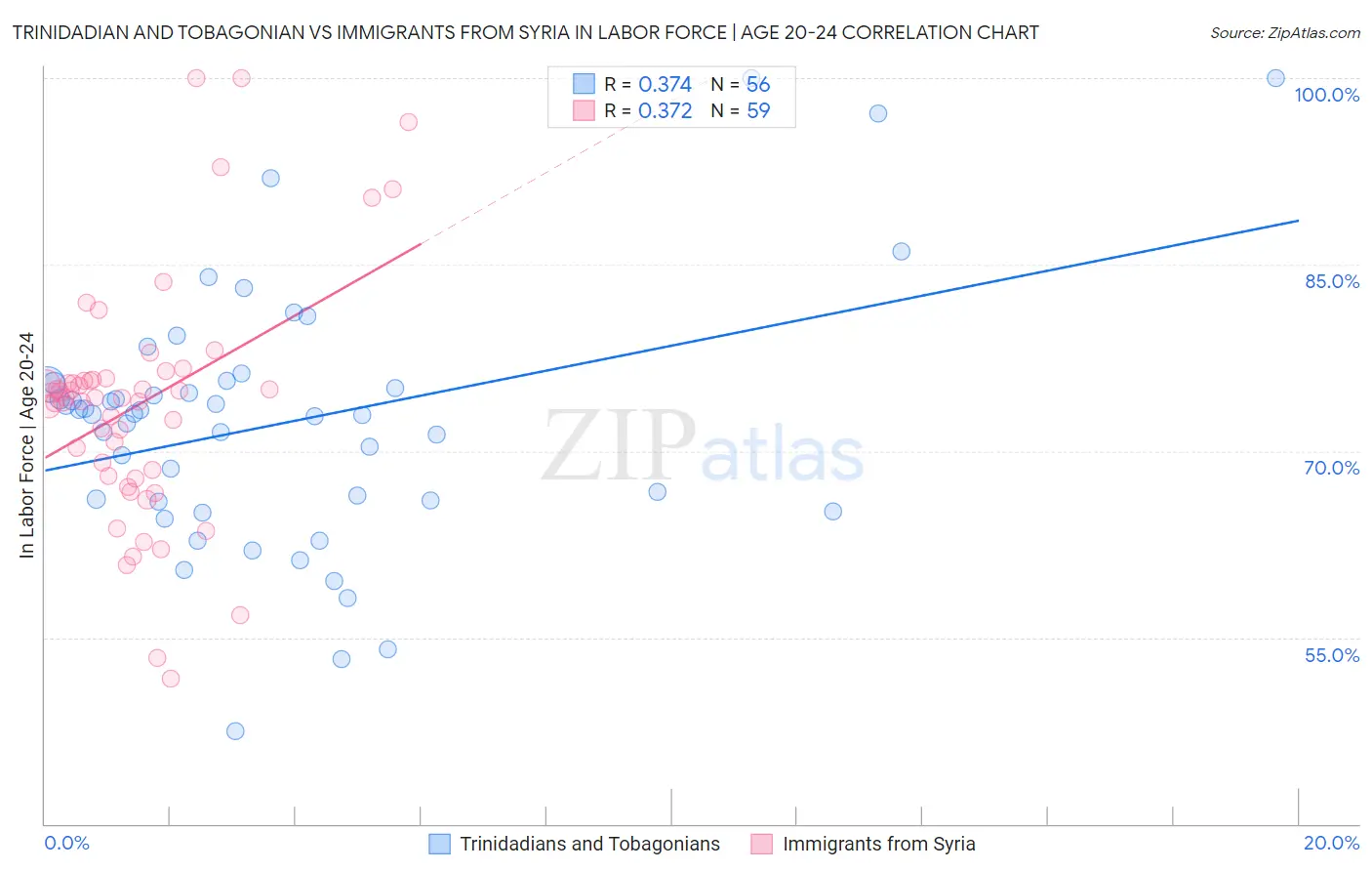 Trinidadian and Tobagonian vs Immigrants from Syria In Labor Force | Age 20-24