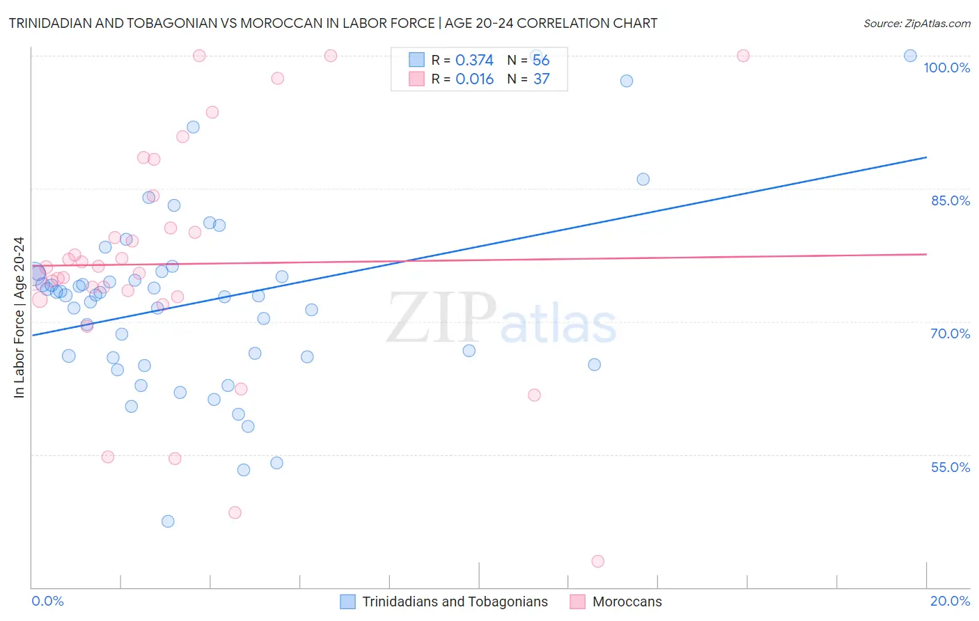 Trinidadian and Tobagonian vs Moroccan In Labor Force | Age 20-24