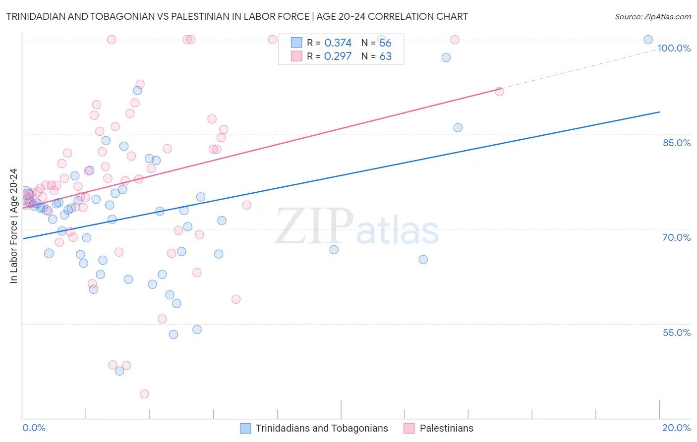 Trinidadian and Tobagonian vs Palestinian In Labor Force | Age 20-24