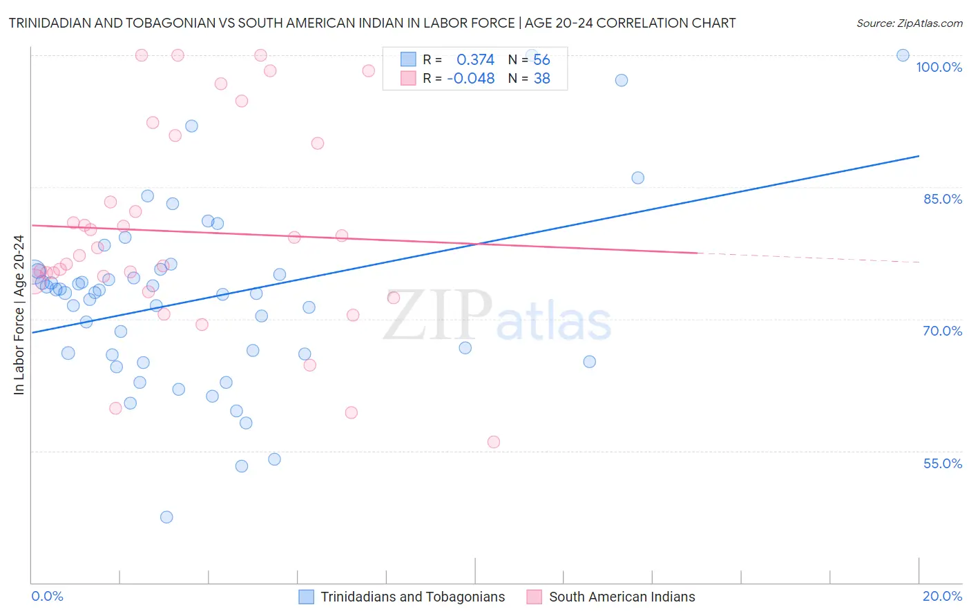 Trinidadian and Tobagonian vs South American Indian In Labor Force | Age 20-24