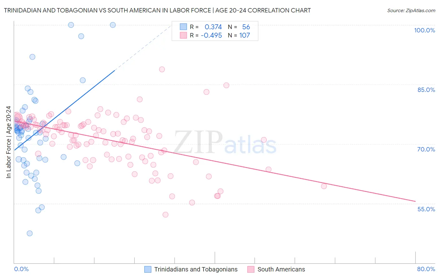 Trinidadian and Tobagonian vs South American In Labor Force | Age 20-24