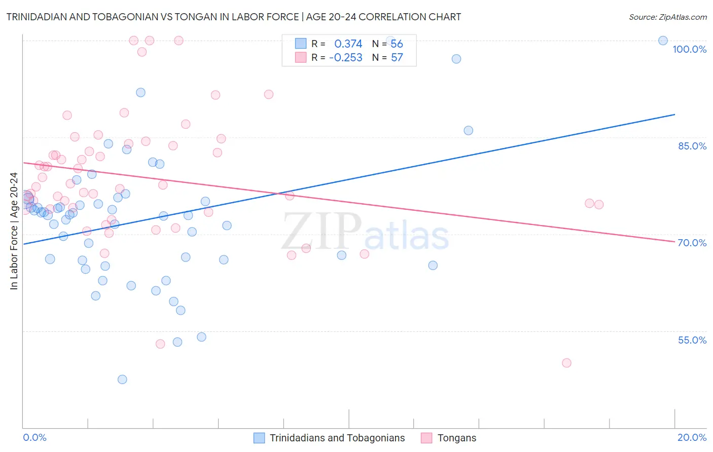 Trinidadian and Tobagonian vs Tongan In Labor Force | Age 20-24