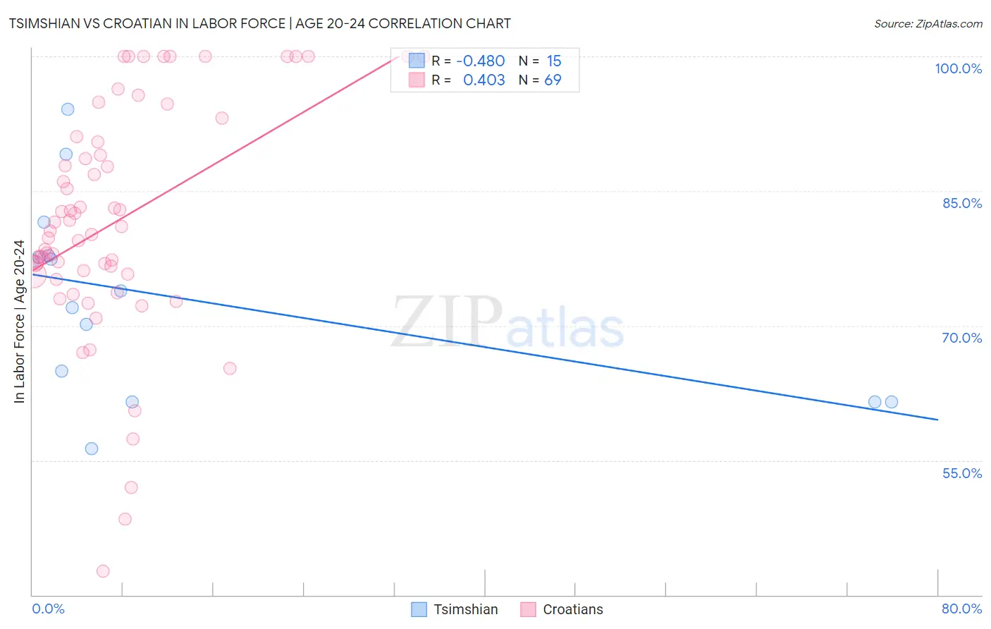 Tsimshian vs Croatian In Labor Force | Age 20-24