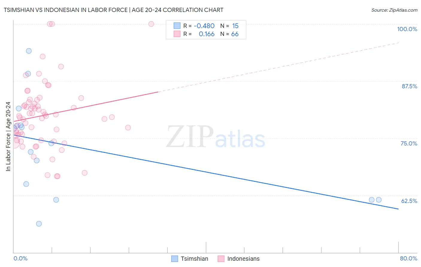 Tsimshian vs Indonesian In Labor Force | Age 20-24