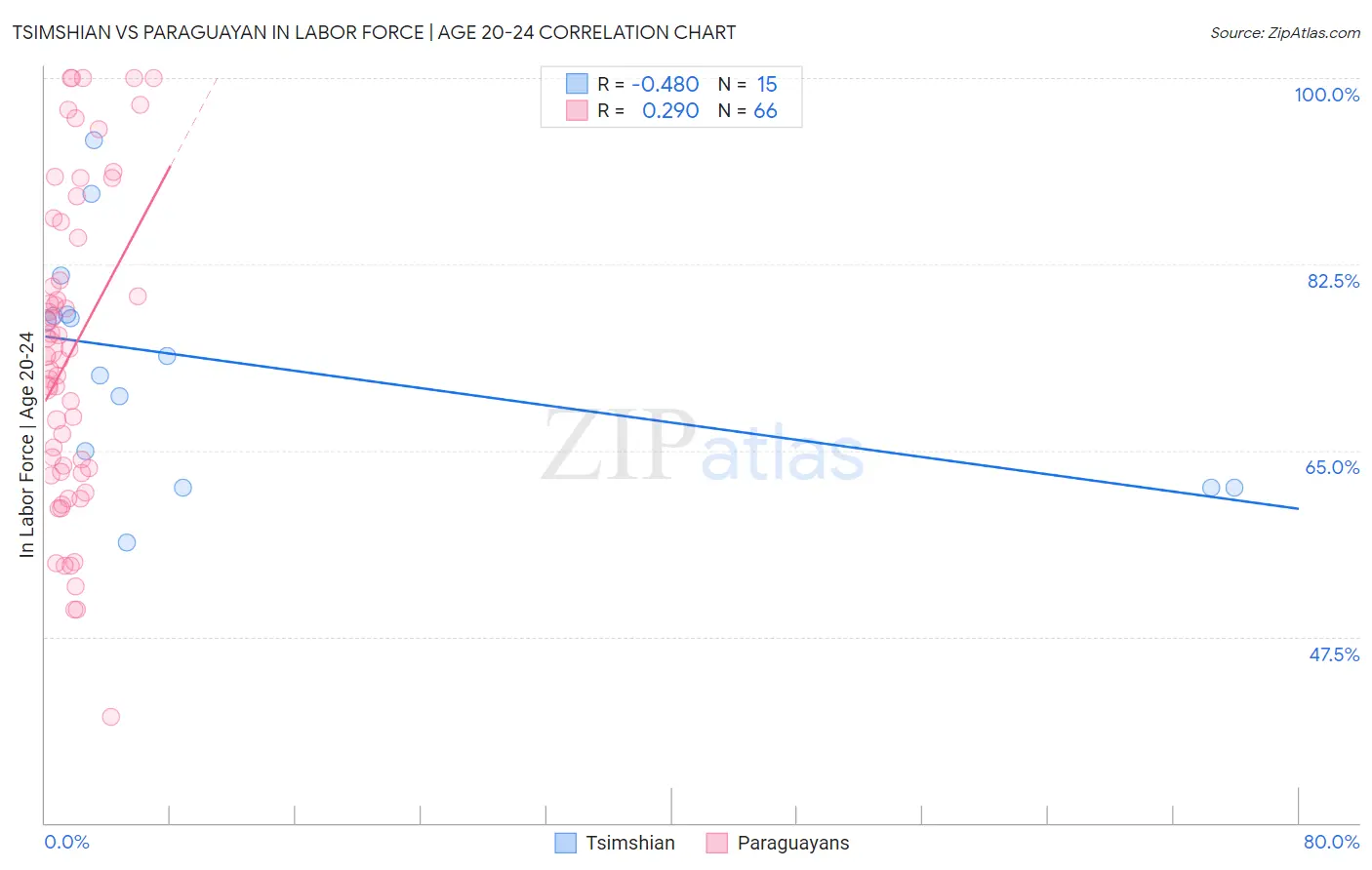 Tsimshian vs Paraguayan In Labor Force | Age 20-24