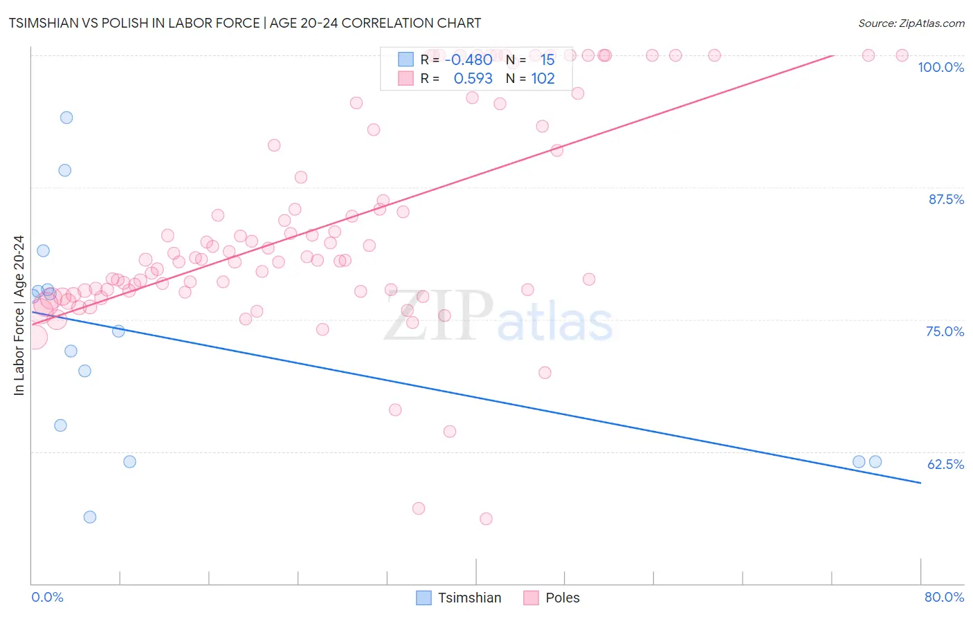 Tsimshian vs Polish In Labor Force | Age 20-24