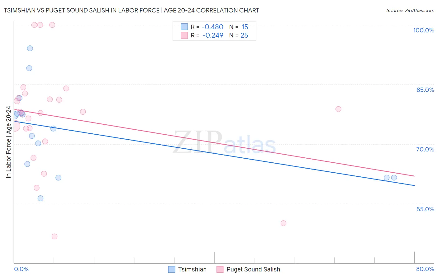 Tsimshian vs Puget Sound Salish In Labor Force | Age 20-24