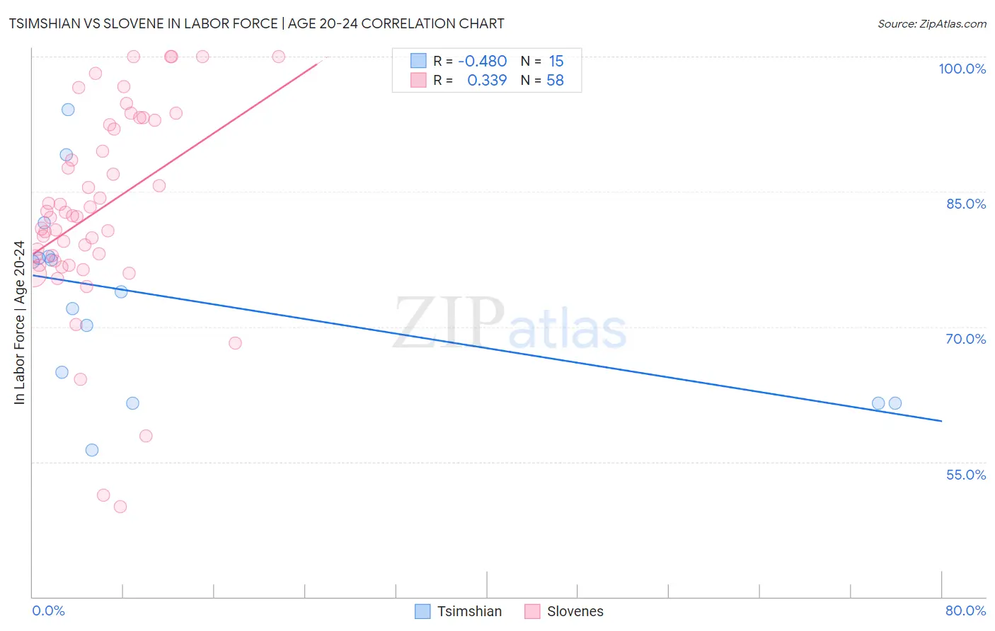 Tsimshian vs Slovene In Labor Force | Age 20-24