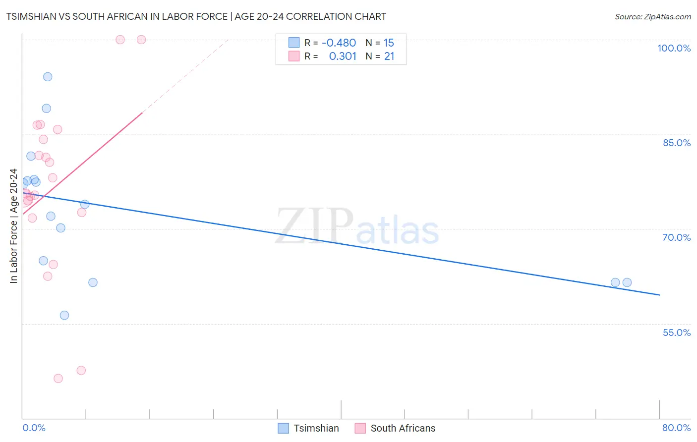 Tsimshian vs South African In Labor Force | Age 20-24