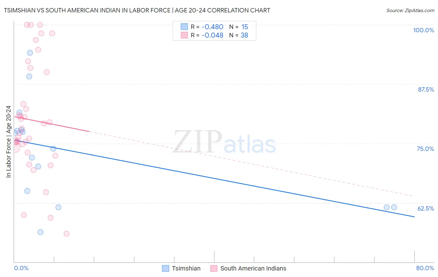 Tsimshian vs South American Indian In Labor Force | Age 20-24