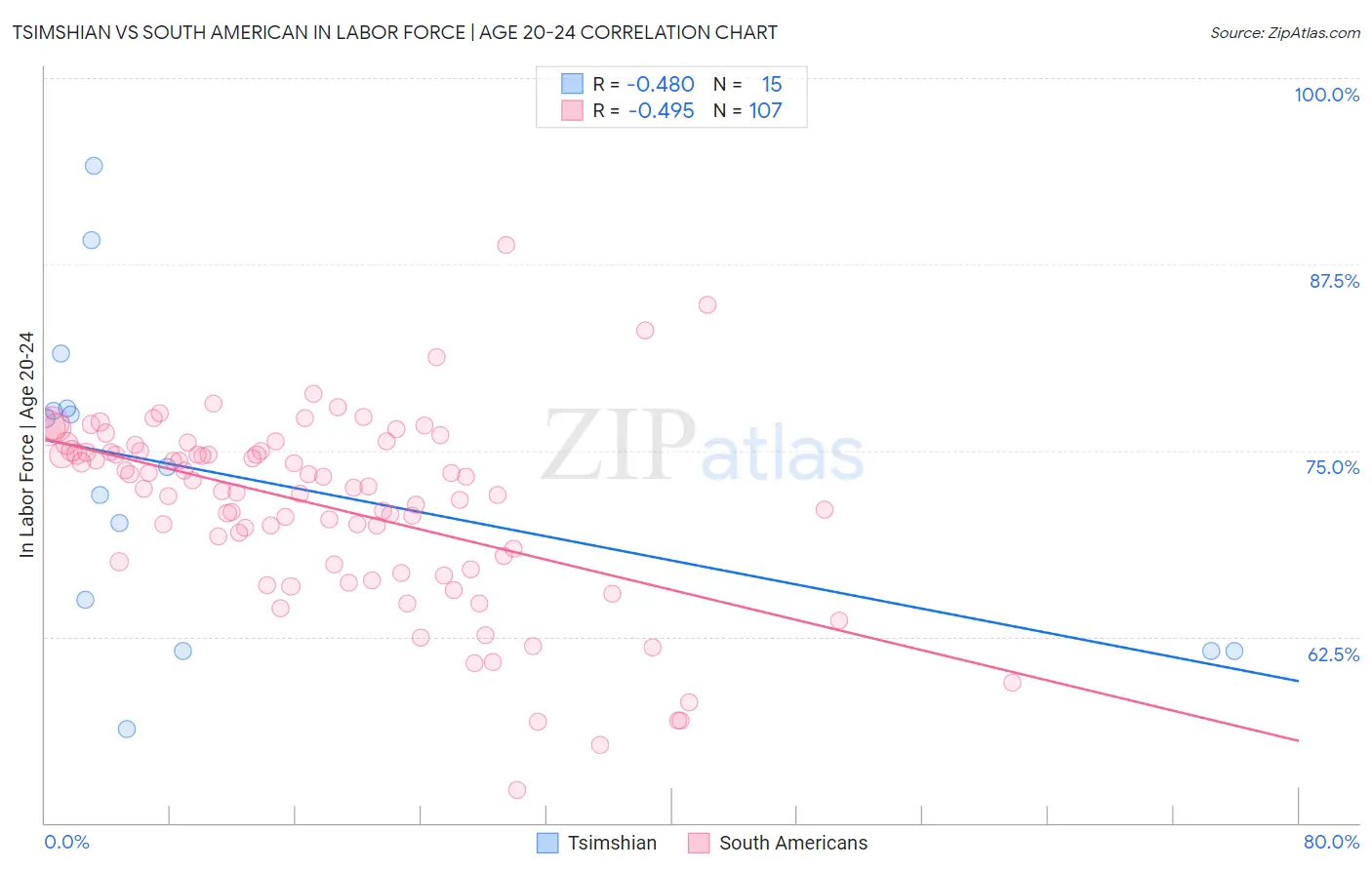 Tsimshian vs South American In Labor Force | Age 20-24