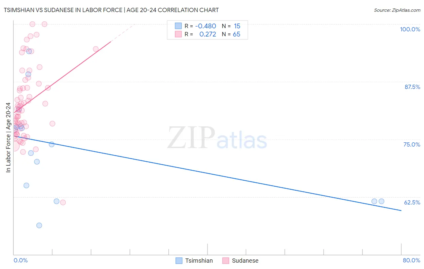 Tsimshian vs Sudanese In Labor Force | Age 20-24