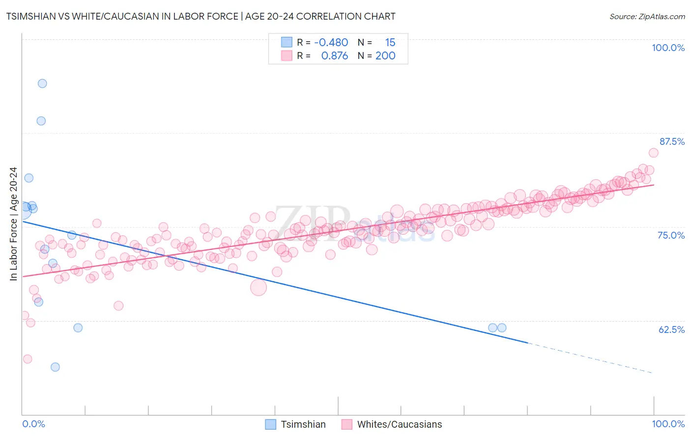 Tsimshian vs White/Caucasian In Labor Force | Age 20-24
