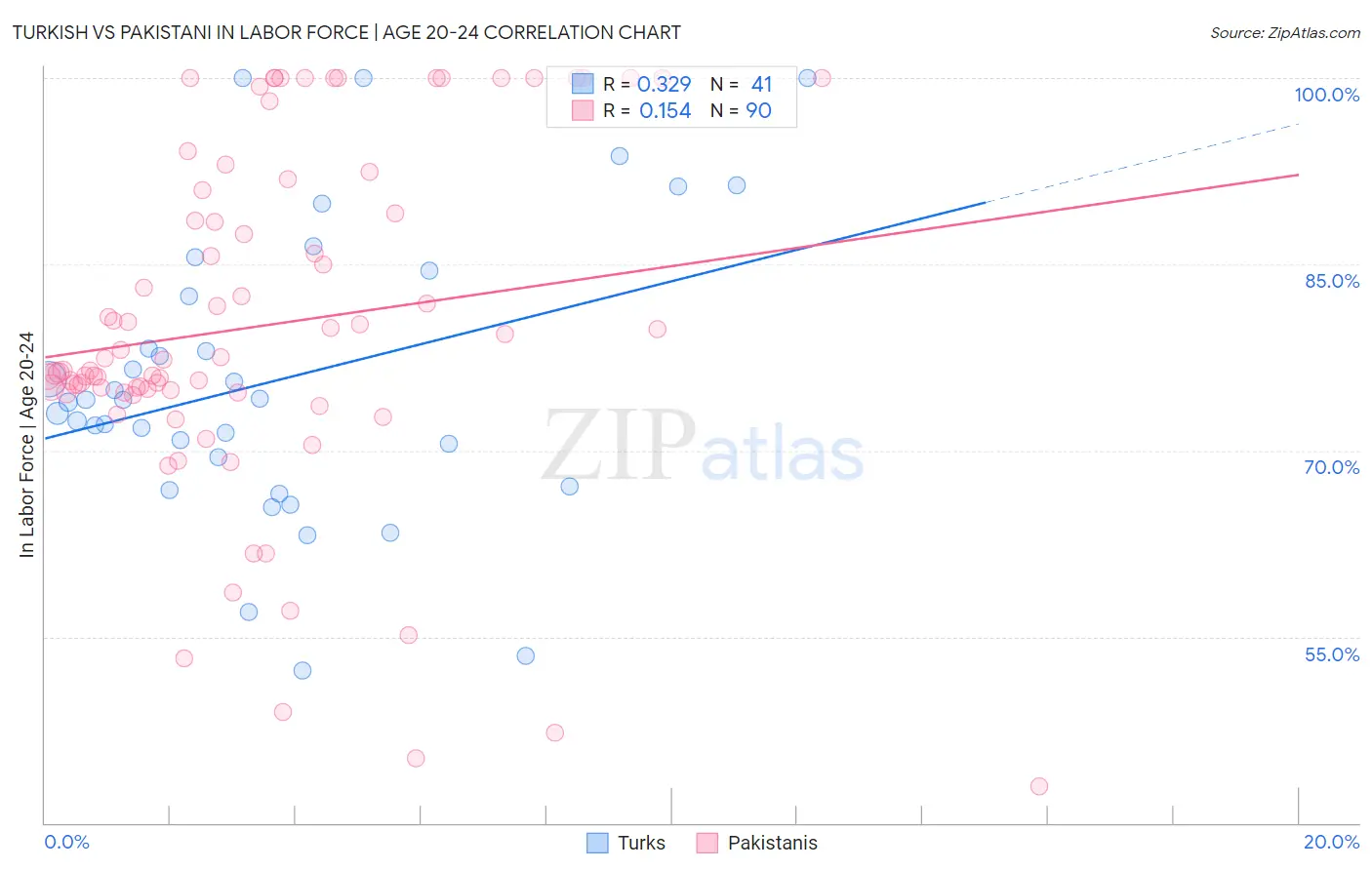 Turkish vs Pakistani In Labor Force | Age 20-24