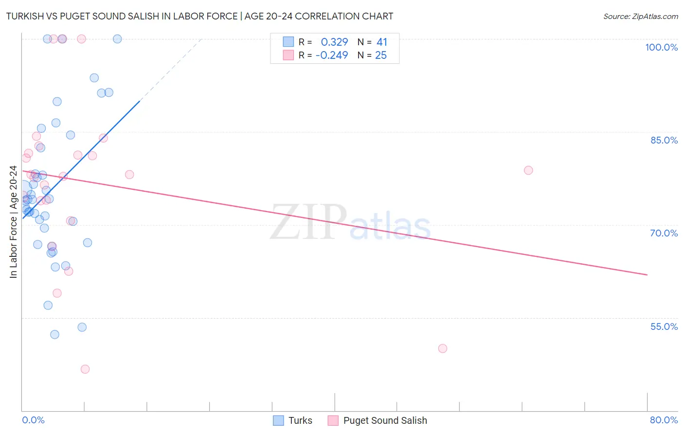 Turkish vs Puget Sound Salish In Labor Force | Age 20-24