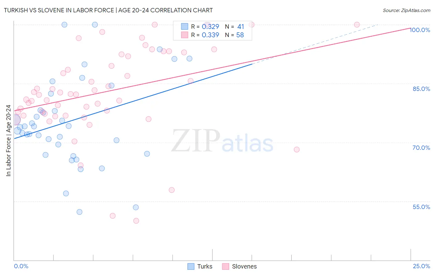 Turkish vs Slovene In Labor Force | Age 20-24