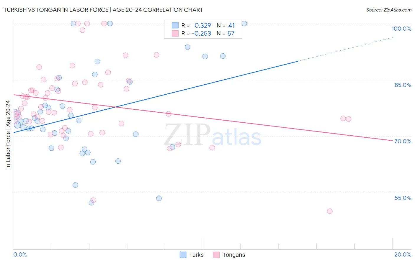 Turkish vs Tongan In Labor Force | Age 20-24