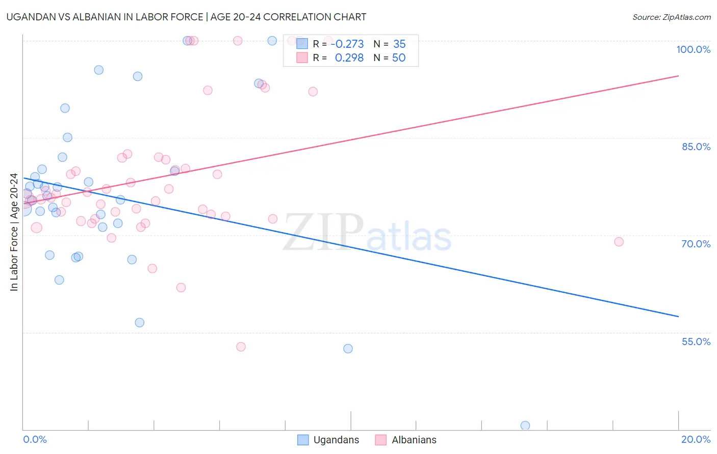 Ugandan vs Albanian In Labor Force | Age 20-24