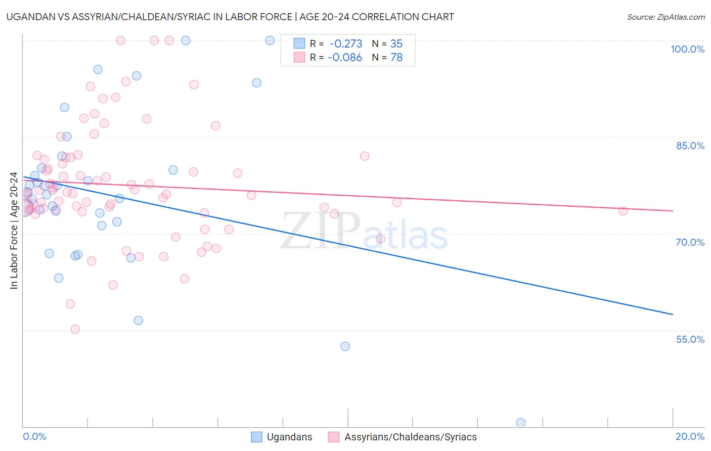 Ugandan vs Assyrian/Chaldean/Syriac In Labor Force | Age 20-24