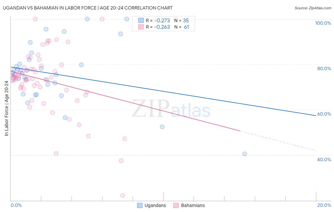 Ugandan vs Bahamian In Labor Force | Age 20-24