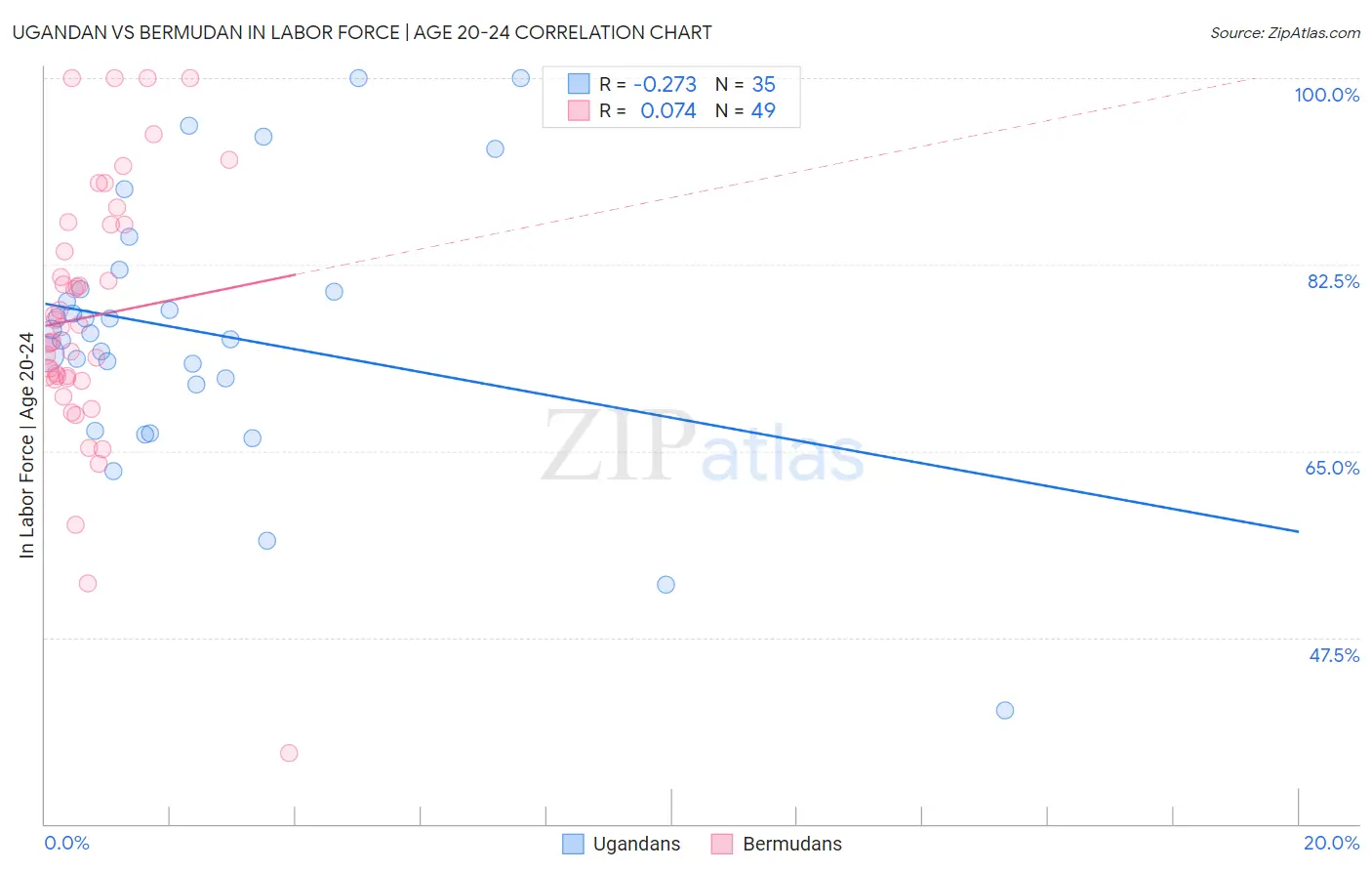 Ugandan vs Bermudan In Labor Force | Age 20-24