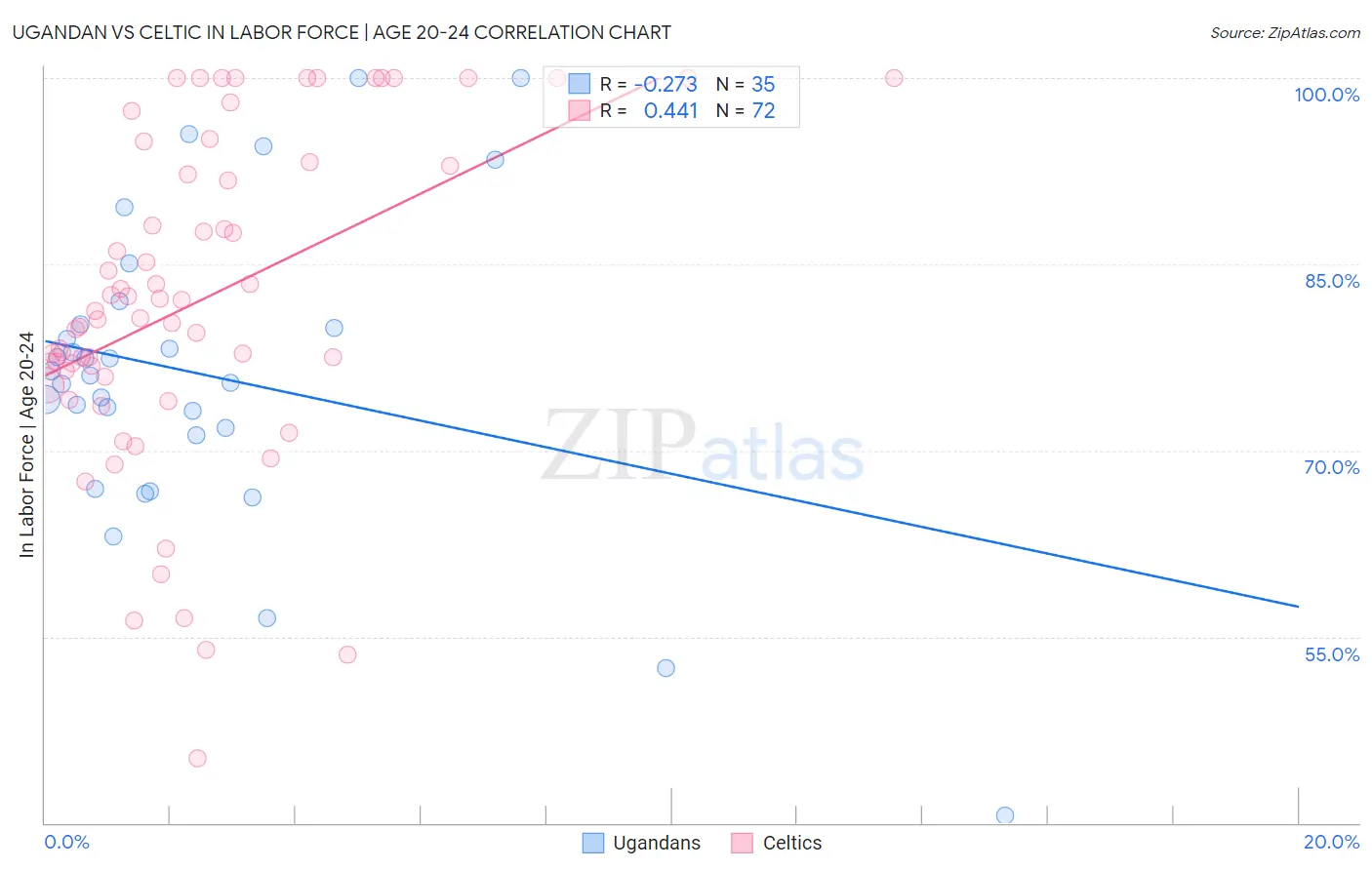 Ugandan vs Celtic In Labor Force | Age 20-24