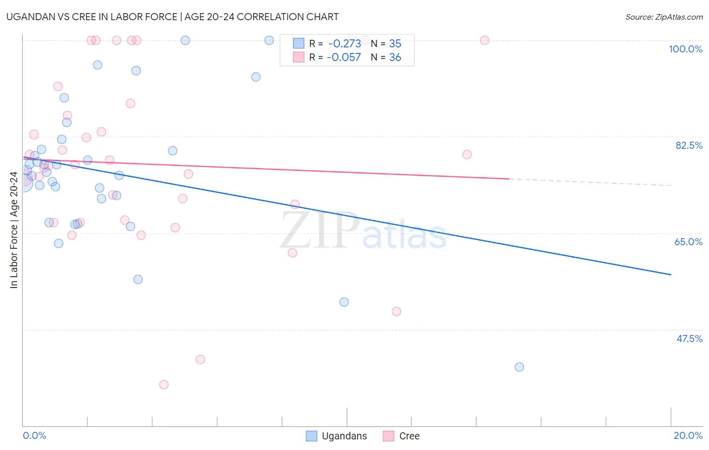 Ugandan vs Cree In Labor Force | Age 20-24