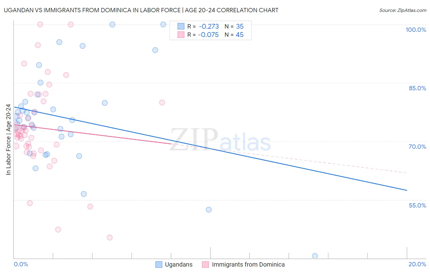 Ugandan vs Immigrants from Dominica In Labor Force | Age 20-24