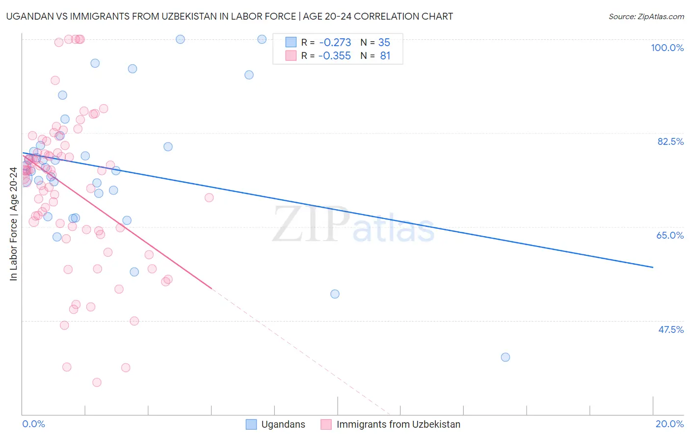 Ugandan vs Immigrants from Uzbekistan In Labor Force | Age 20-24