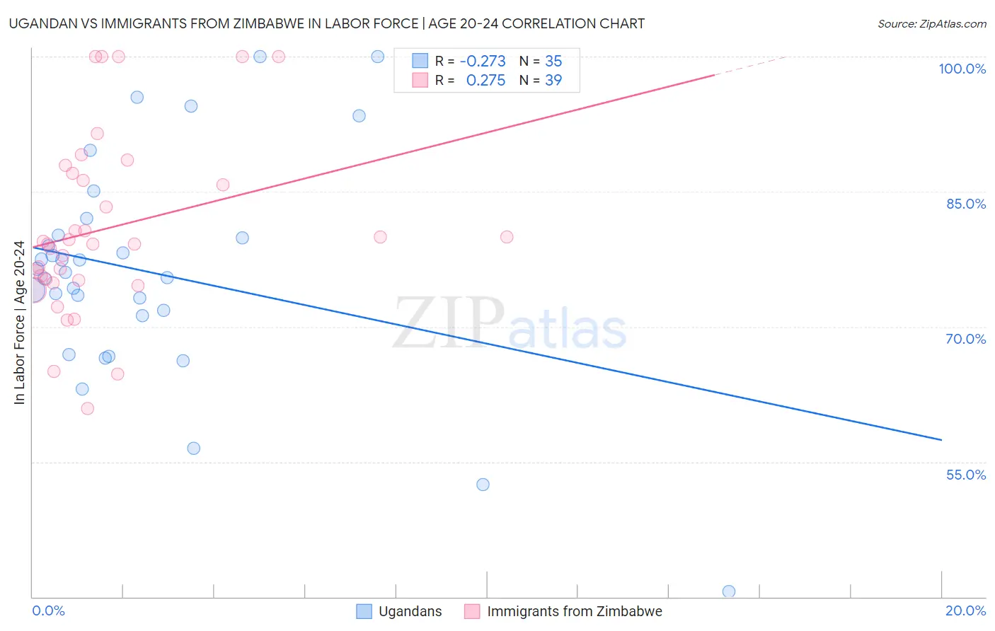 Ugandan vs Immigrants from Zimbabwe In Labor Force | Age 20-24