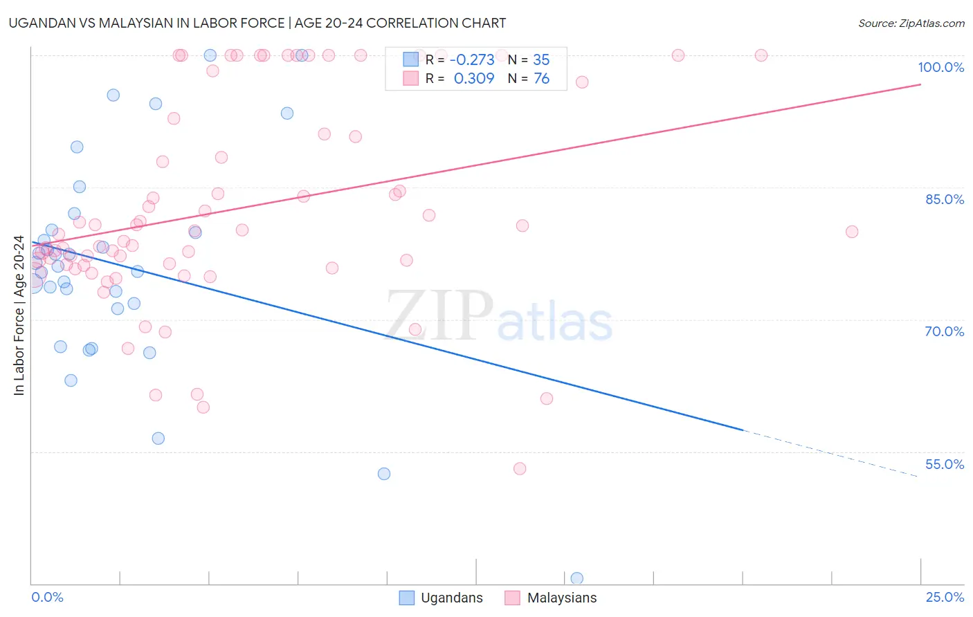 Ugandan vs Malaysian In Labor Force | Age 20-24