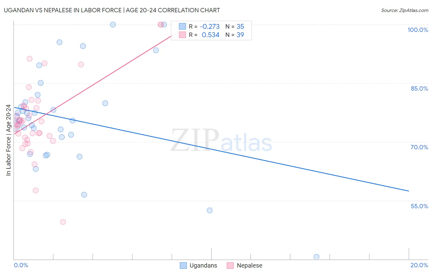 Ugandan vs Nepalese In Labor Force | Age 20-24