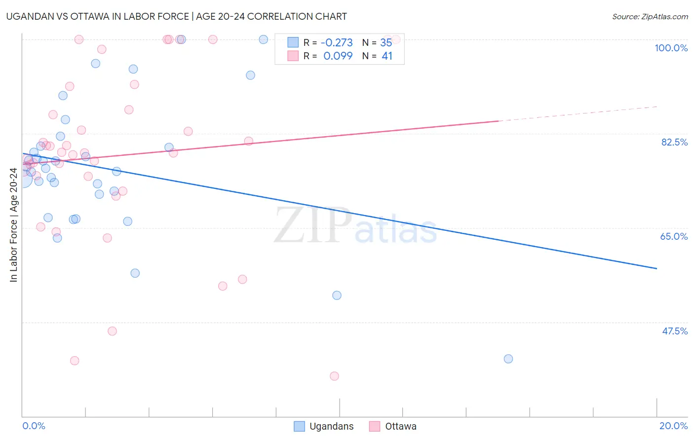 Ugandan vs Ottawa In Labor Force | Age 20-24