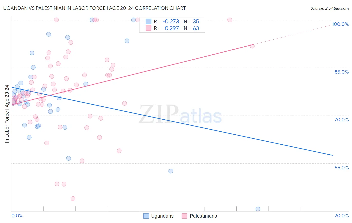 Ugandan vs Palestinian In Labor Force | Age 20-24
