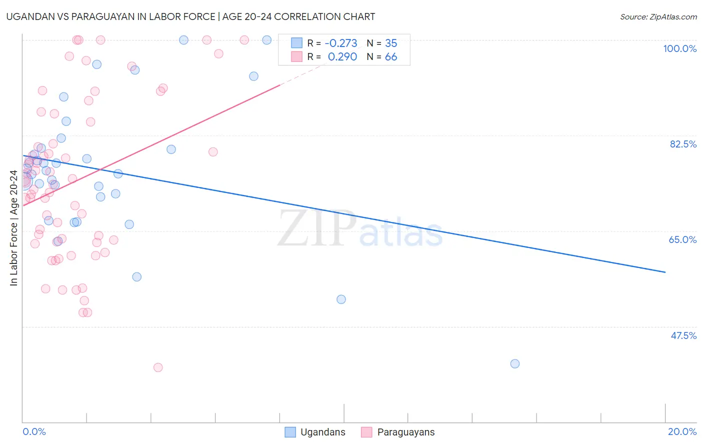 Ugandan vs Paraguayan In Labor Force | Age 20-24