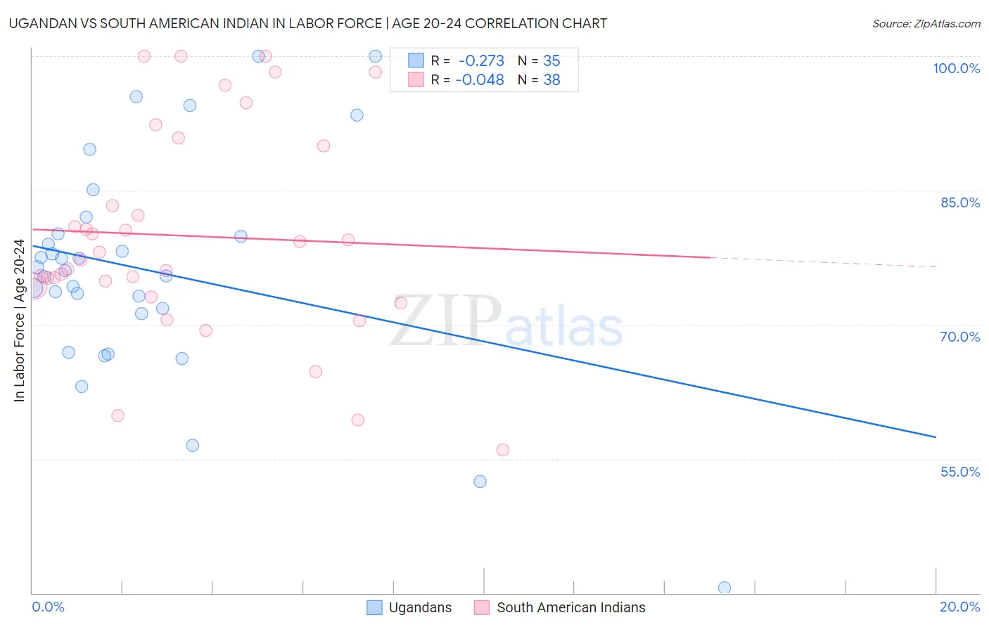 Ugandan vs South American Indian In Labor Force | Age 20-24