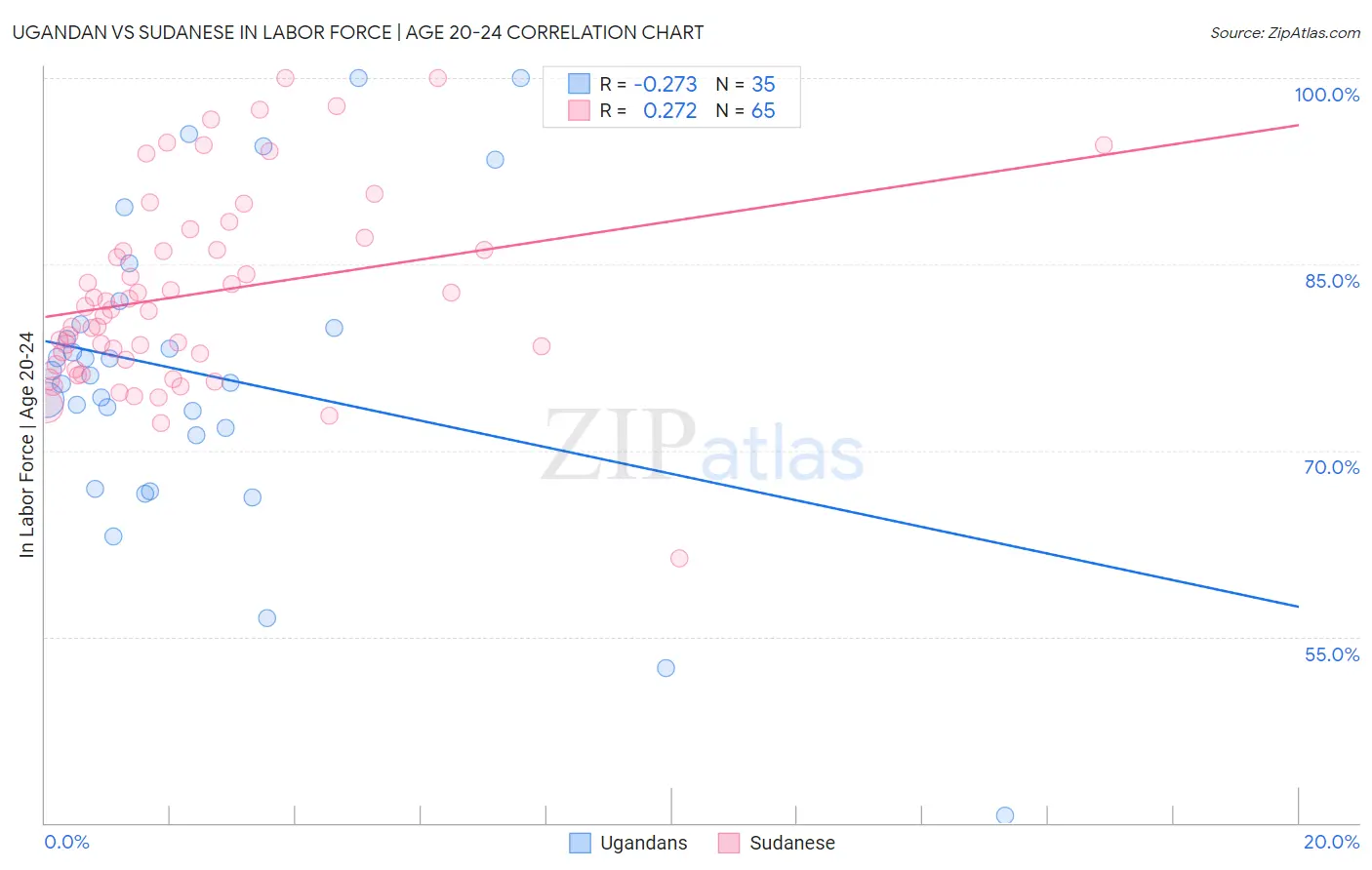 Ugandan vs Sudanese In Labor Force | Age 20-24
