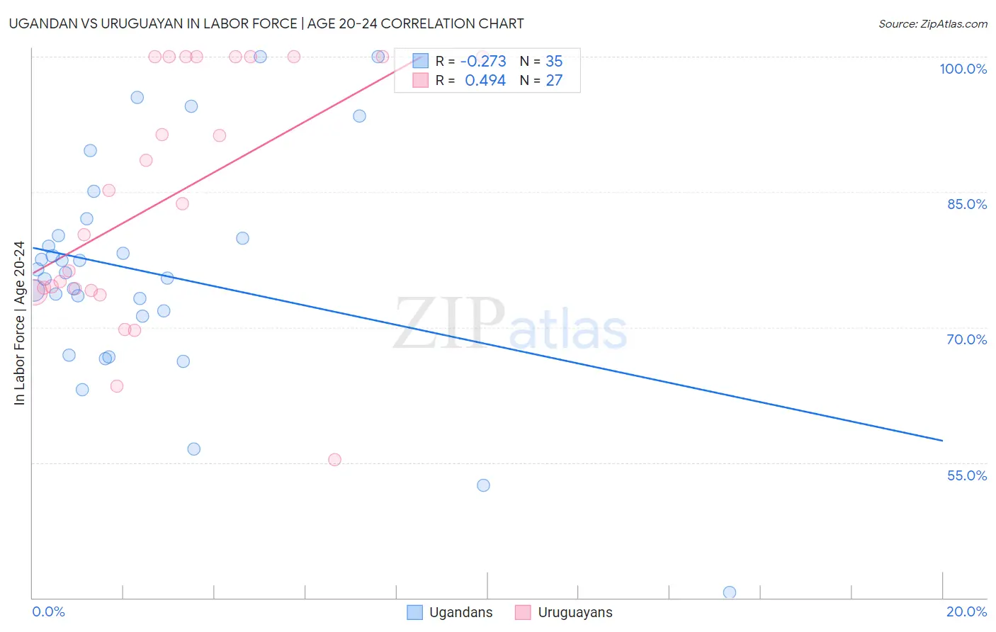 Ugandan vs Uruguayan In Labor Force | Age 20-24